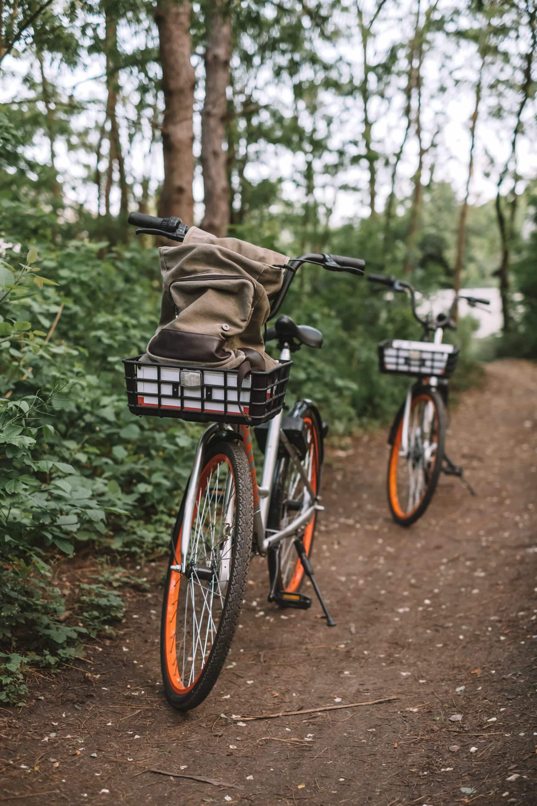 Zwei Fahrräder mit orangefarbenen Felgen stehen auf einem Waldweg, wobei eines eine Tasche im vorderen Korb hat.