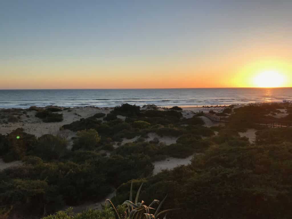 Sonnenuntergang am Strand mit Sanddünen und Pflanzen im Vordergrund und einem ruhigen Meer im Hintergrund.