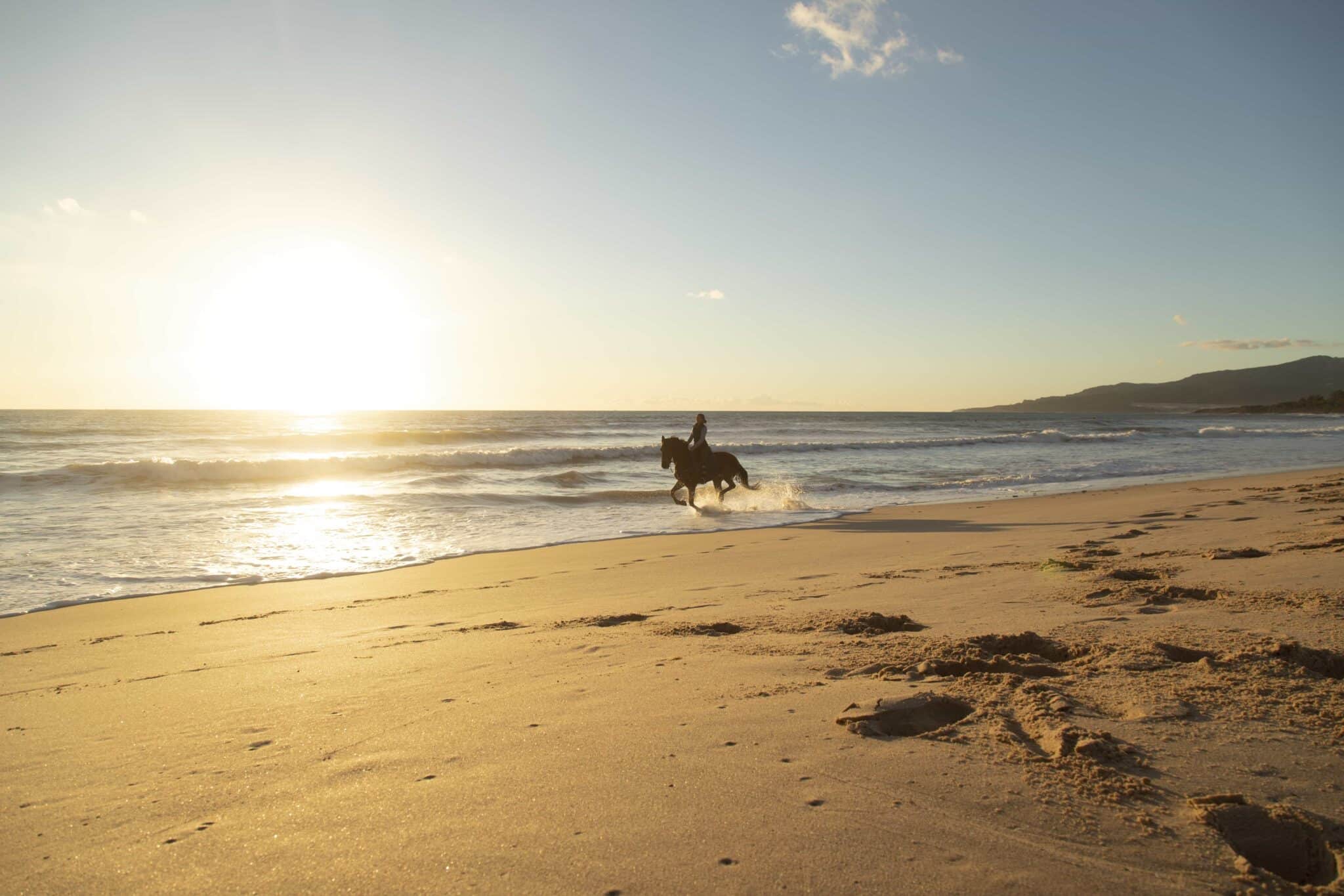 Ein Reiter auf einem Pferd galoppiert am Strand entlang, während die Sonne über dem Meer untergeht.